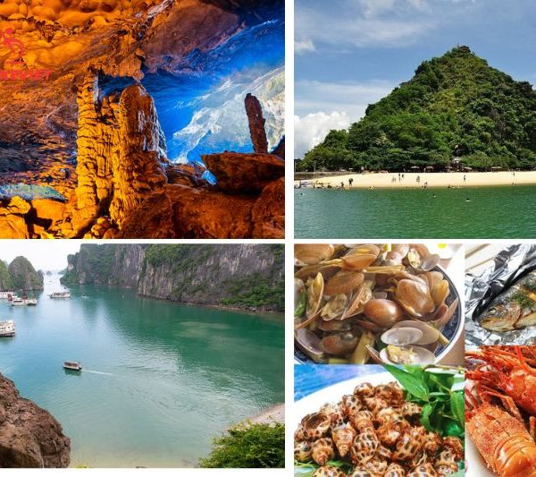 Attractive points of Halong Bay 1 day tour