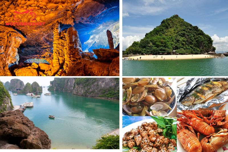 Attractive points of Halong Bay 1 day tour