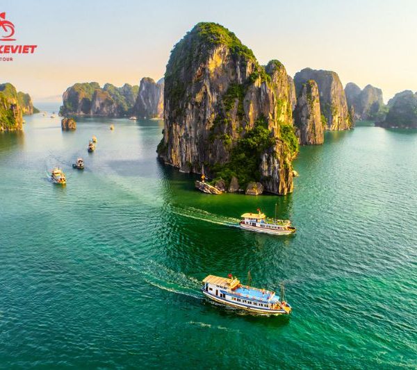 Introduction to Halong Bay 1 day tour