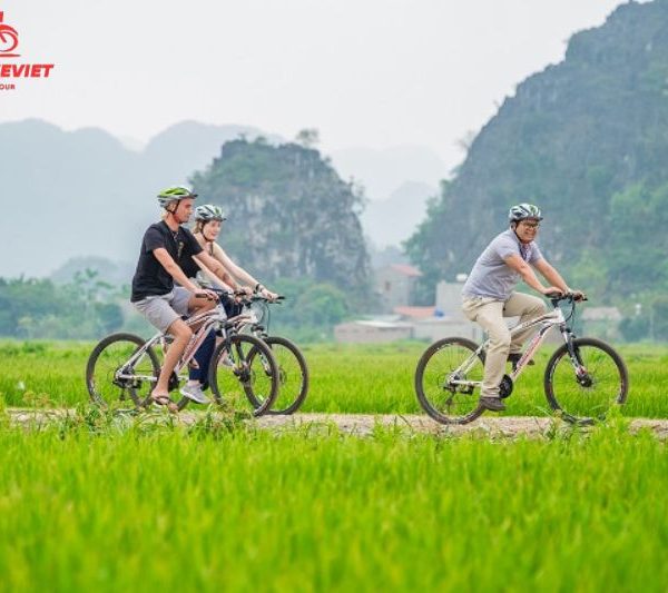Hoa Lu Tam Coc day tour