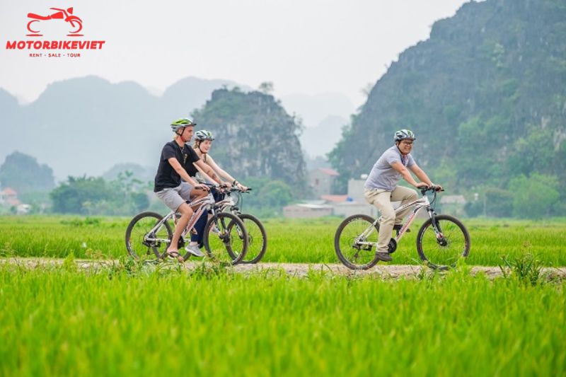 Hoa Lu Tam Coc day tour