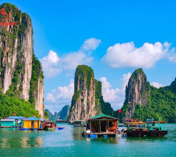 Cruise takes tourists to visit Cua Van fishing village