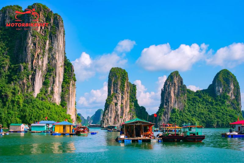 Cruise takes tourists to visit Cua Van fishing village