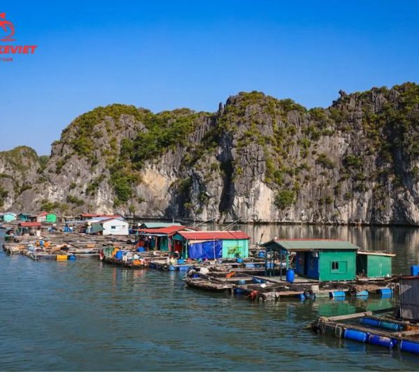Lan Ha Bay tour 3 days 2 nights explore Viet Hai village