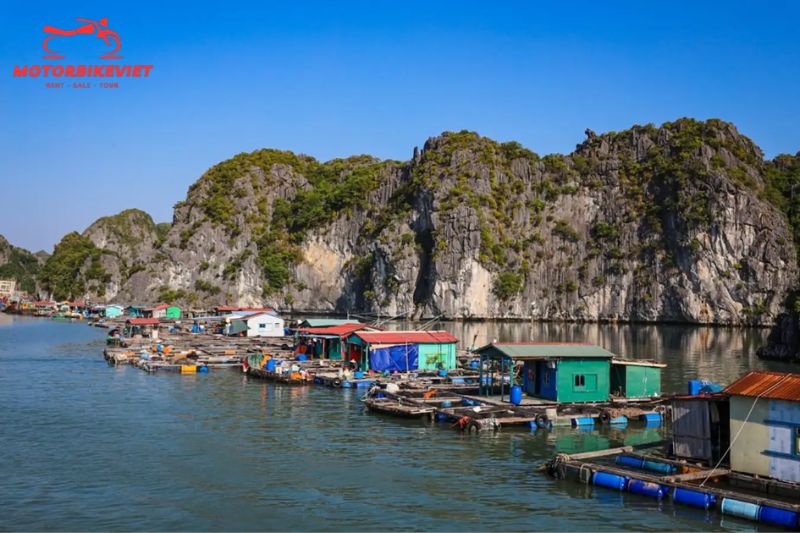 Lan Ha Bay tour 3 days 2 nights explore Viet Hai village
