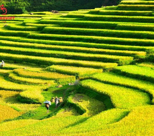 Mai Chau Pu Luong motorbike tour 3 days 2 nights