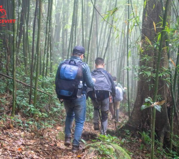 trekking