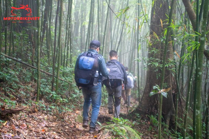trekking