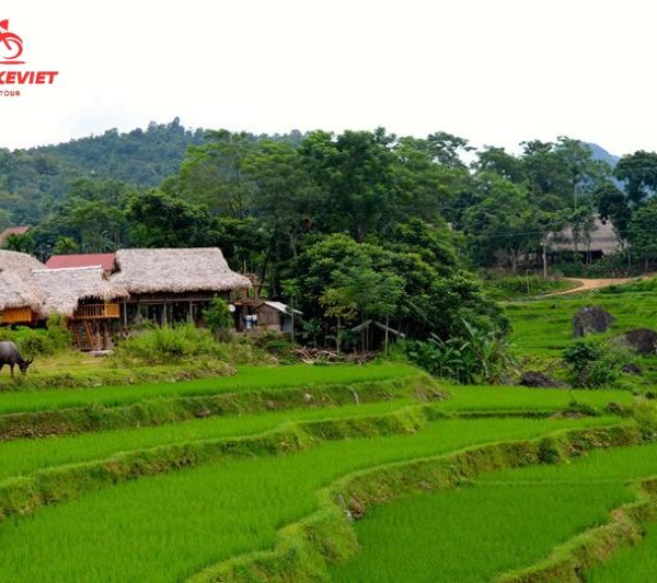 Pu Luong