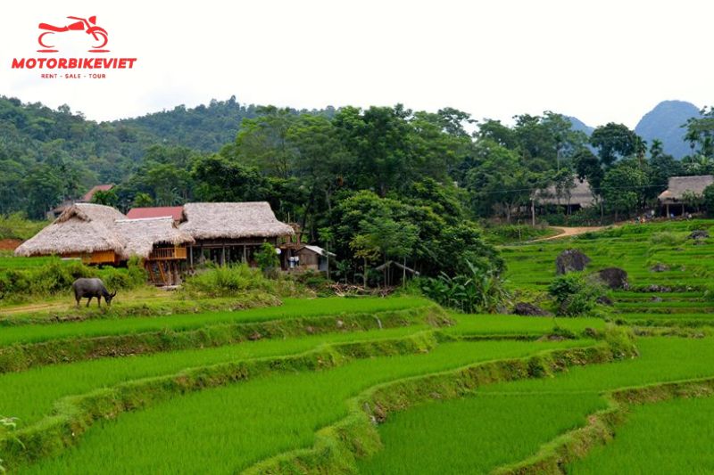 Pu Luong