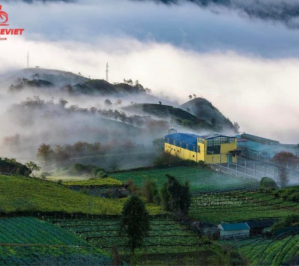 Sapa trekking tour