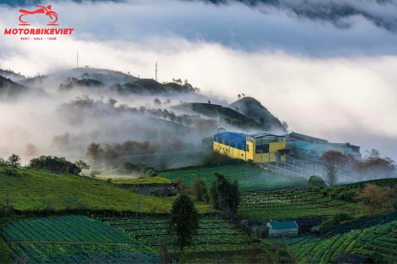Sapa trekking tour