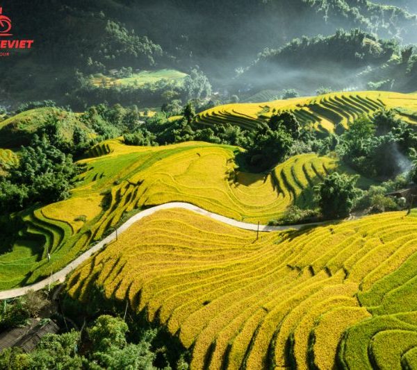 Sapa