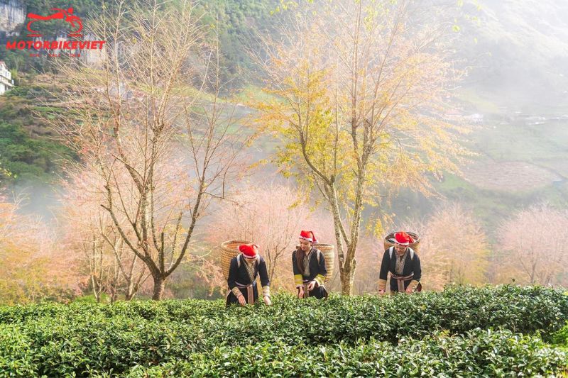Pu Luong trekking tour 4 days 3 nights