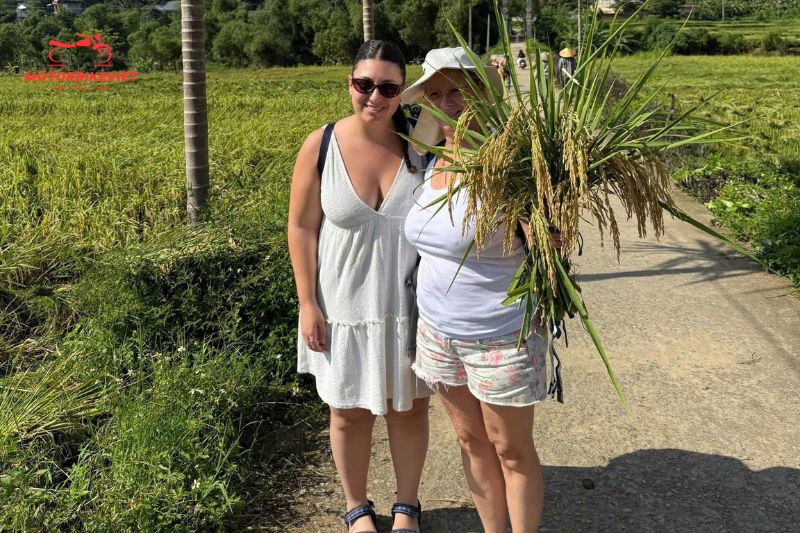 Two women posing on a path by a rice field, one holding a bundle of rice stalks