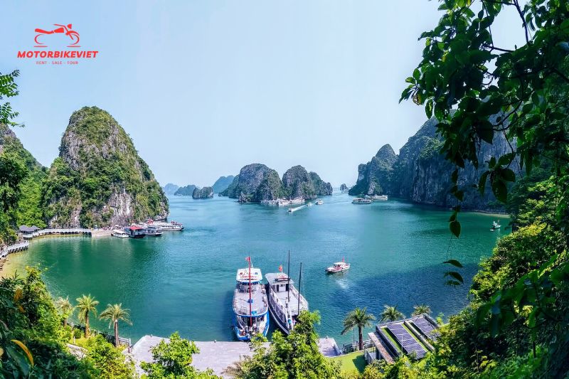plan a Halong Bay adventure cruise experience